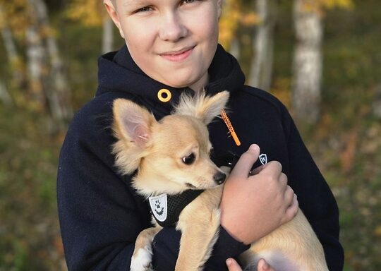 Катаев Дмитрий